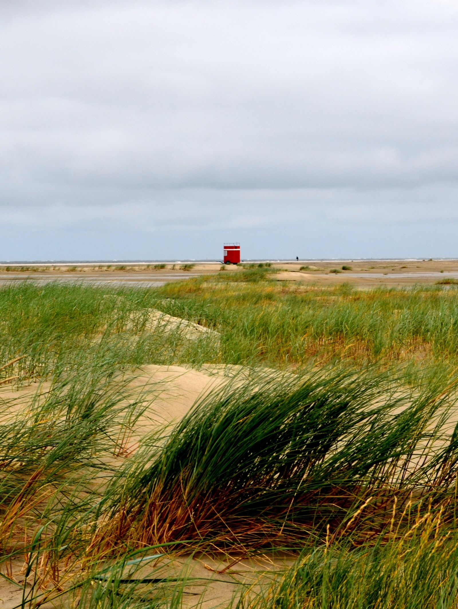 Nikon D5100 sample photo. Beach, dunes, teen beach photography