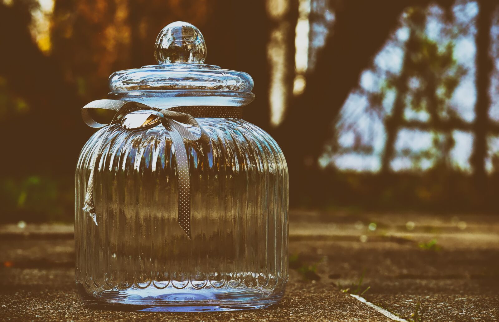 Nikon D3200 sample photo. Cookie jar, glass, candy-glass photography