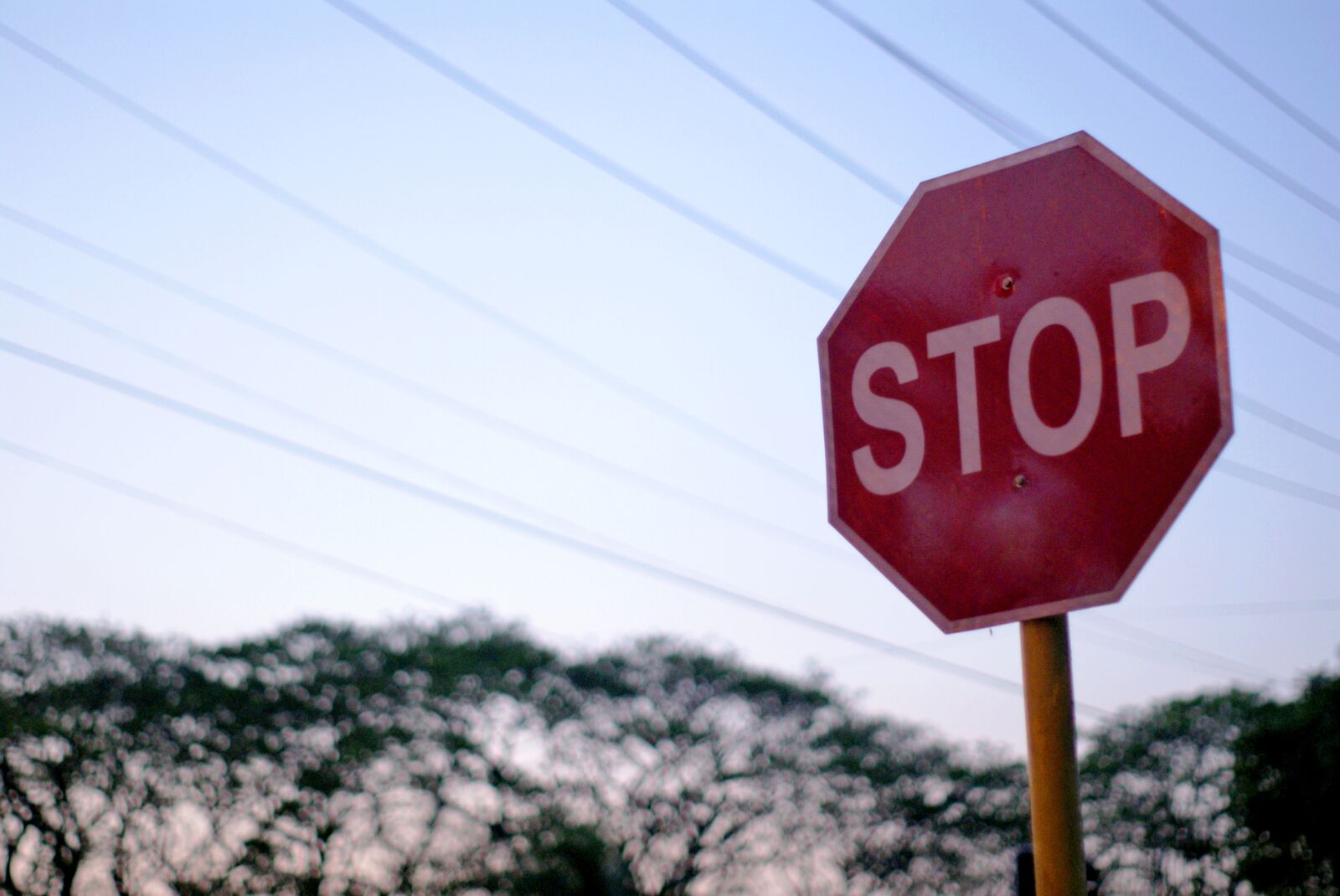 Sony Alpha DSLR-A200 sample photo. Stop, sign, lines photography
