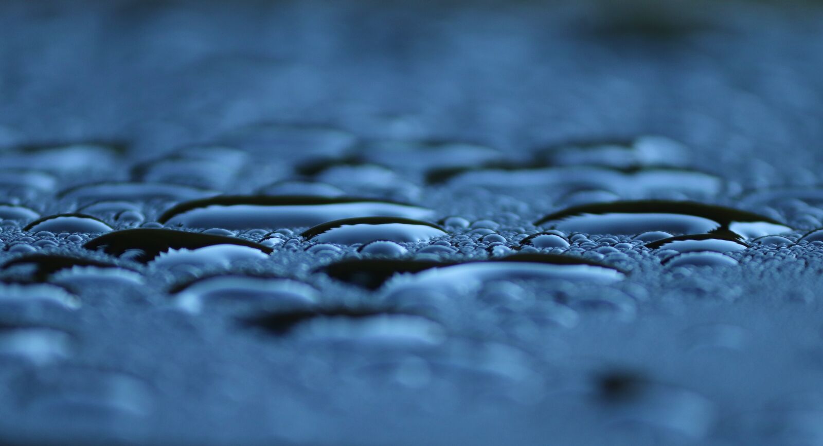Canon EOS 200D (EOS Rebel SL2 / EOS Kiss X9) sample photo. Drop of water, beaded photography