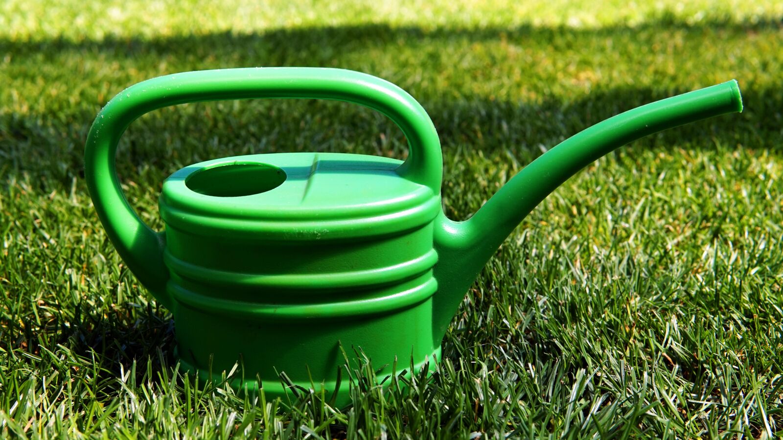 Sigma 30mm F1.4 DC DN | C sample photo. Garden, casting, watering can photography