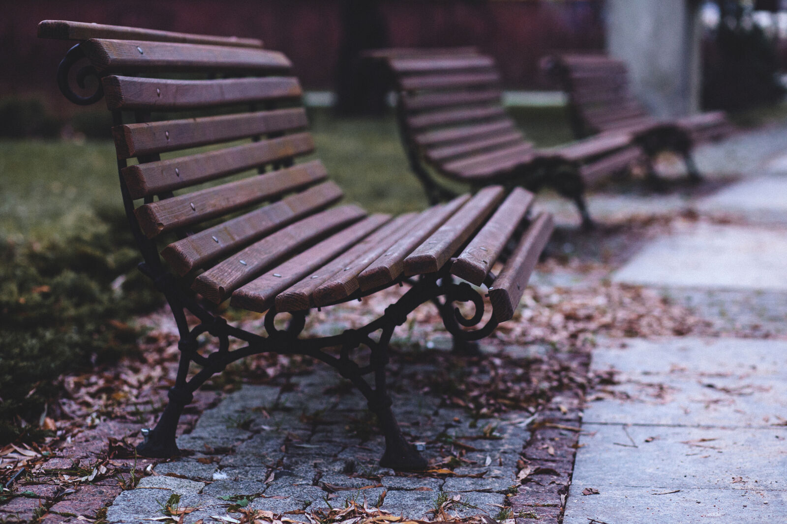 Canon EF 85mm F1.8 USM sample photo. Benches, chairs, dry, leaves photography