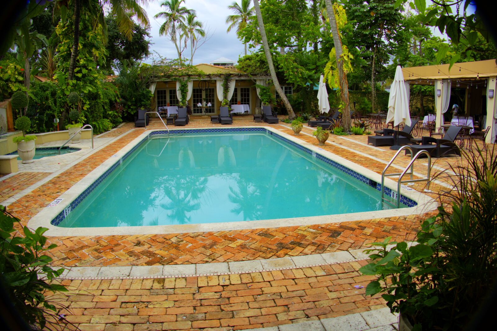 Panasonic Lumix DMC-FZ1000 sample photo. Palms, pool, recreation, swimming photography