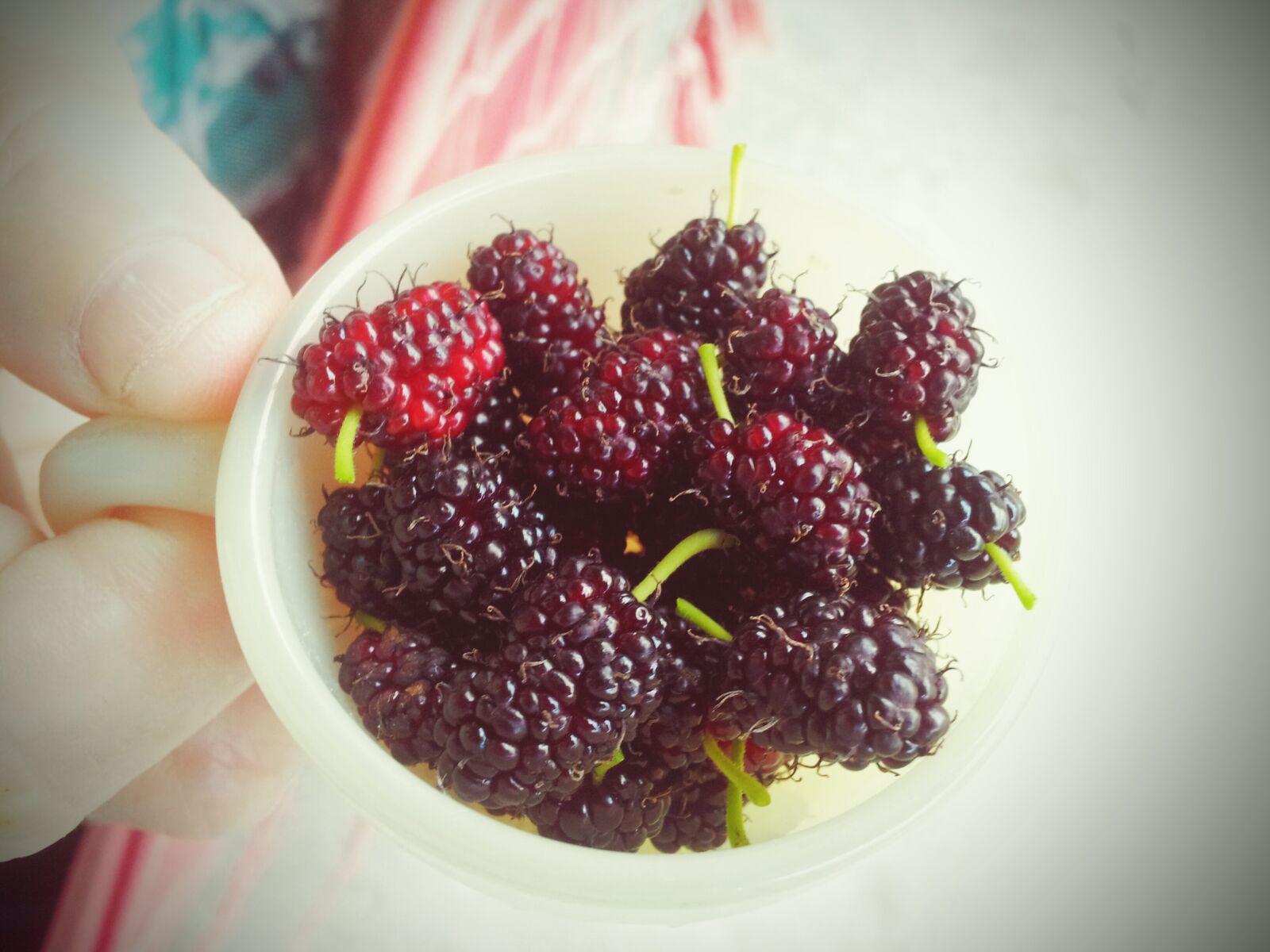 Samsung Galaxy S2 sample photo. Close, up, of, hand photography