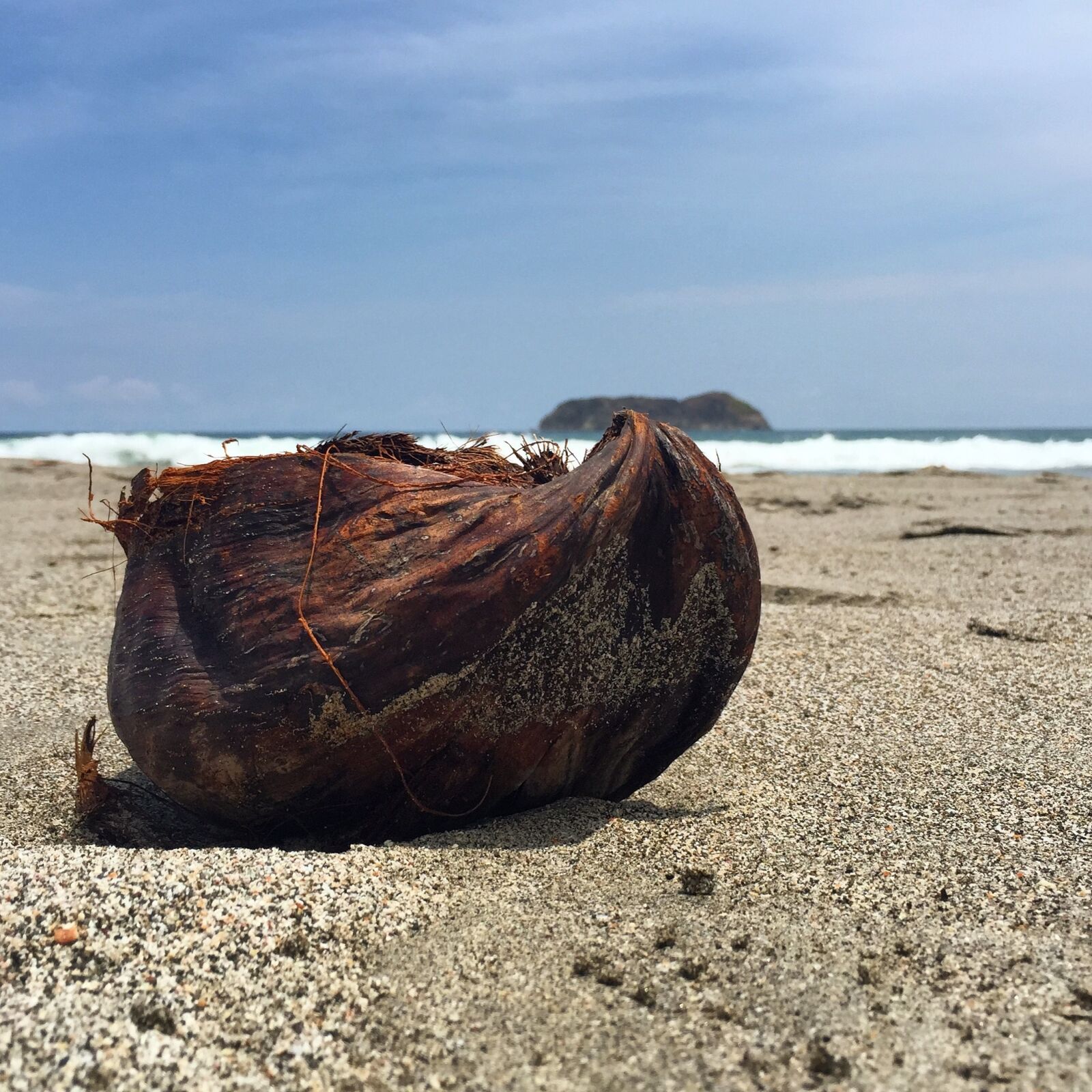 iPhone 6 Plus back camera 4.15mm f/2.2 sample photo. Coconut, beach, costa rica photography