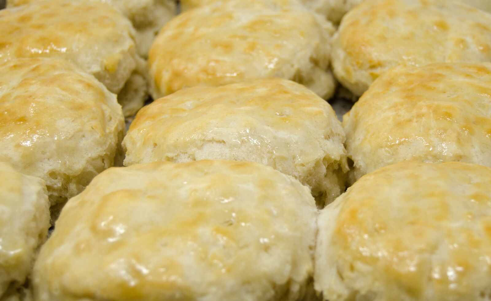 Nikon D7000 sample photo. Biscuits, buttery, homemade photography