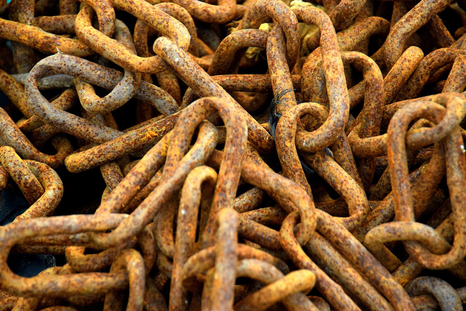 Nikon D3300 sample photo. Chains, links, iron photography