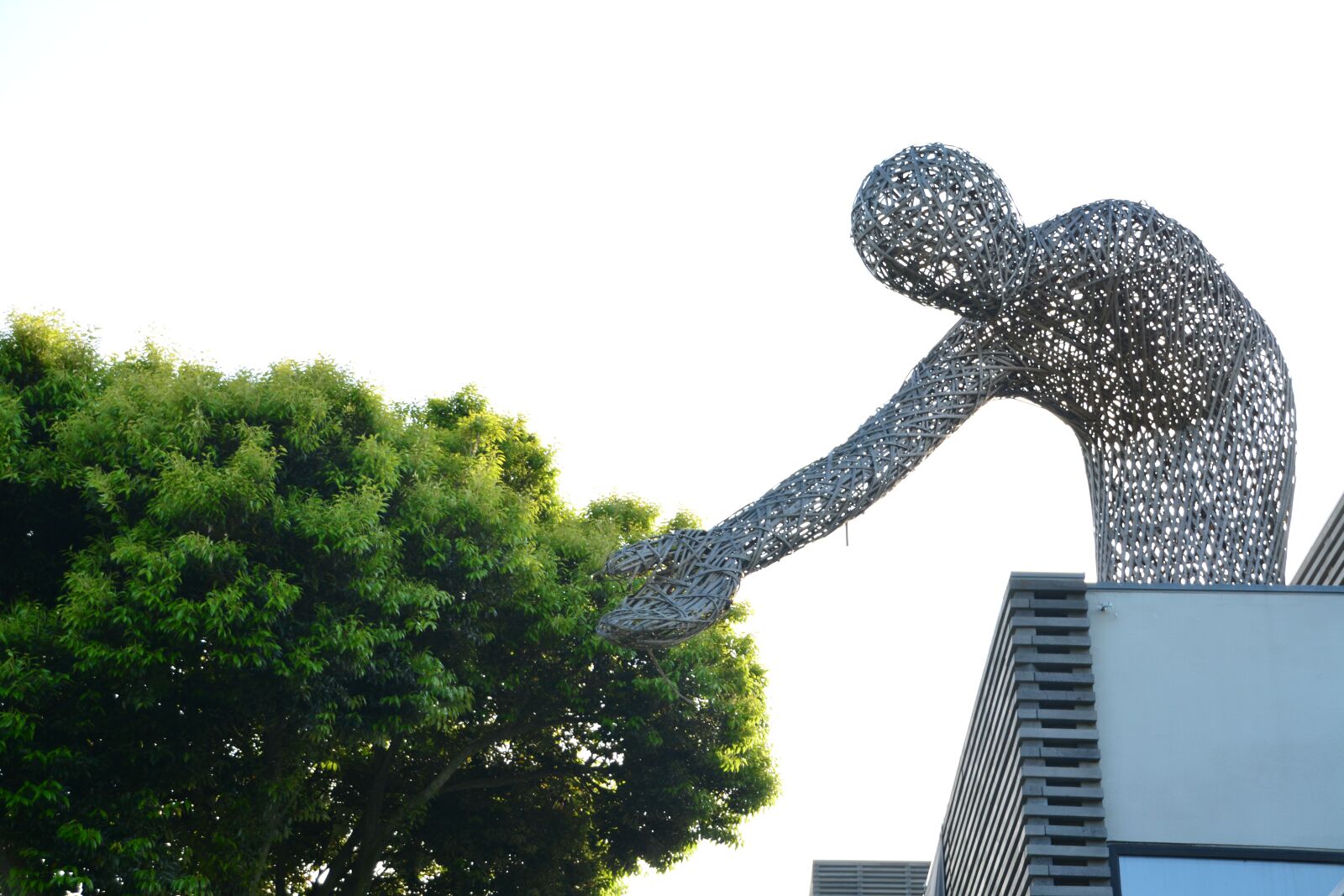 Nikon D5200 sample photo. Jeju island, art gallery photography