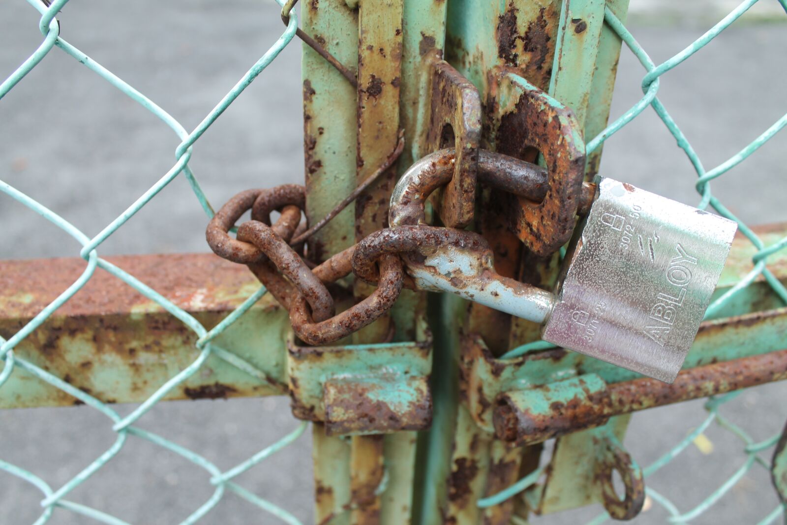 Canon EOS 1100D (EOS Rebel T3 / EOS Kiss X50) sample photo. Iron, fence, rusty photography