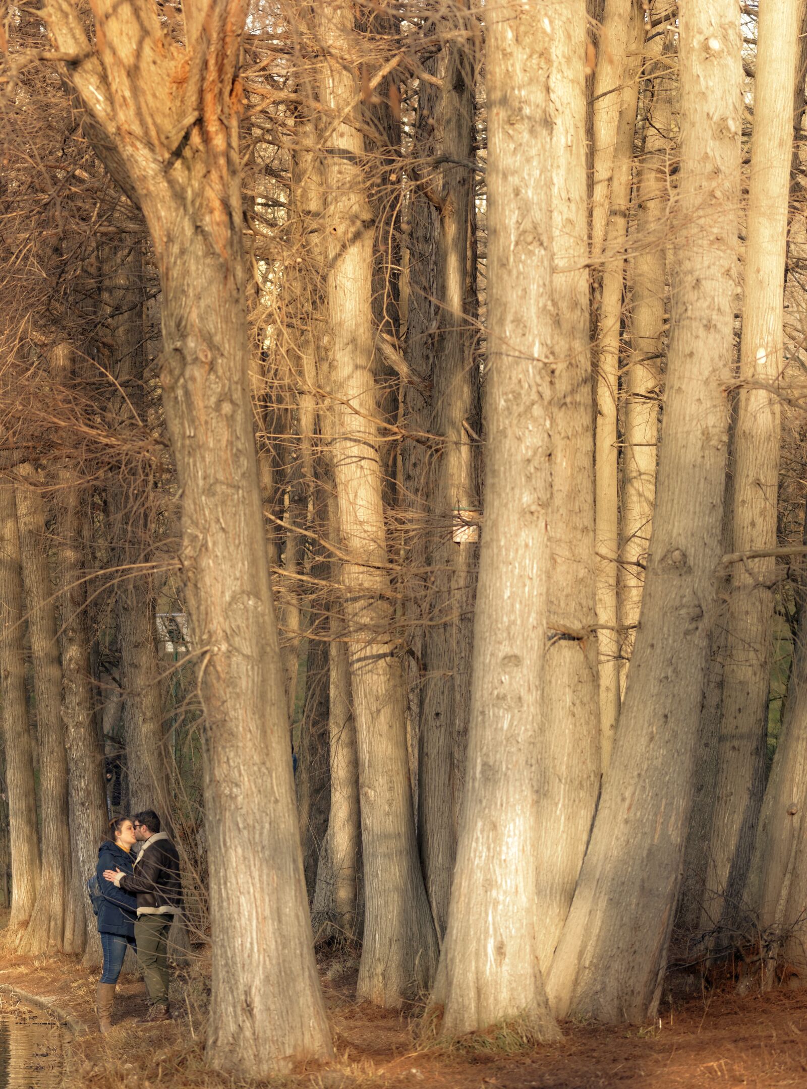 Nikon D5300 sample photo. Couple, young people, friends photography
