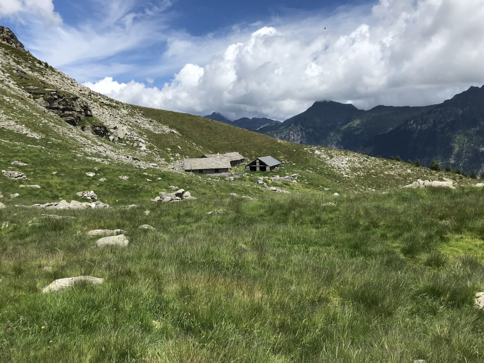 iPhone 7 back camera 3.99mm f/1.8 sample photo. Towards landarenca, alpe di photography