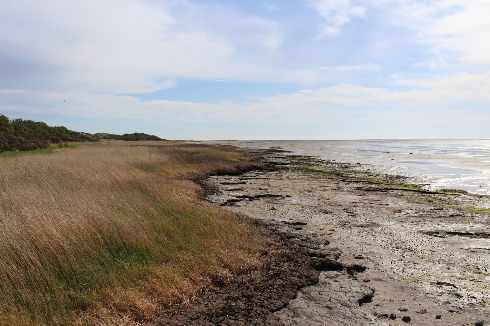 Canon EOS 700D (EOS Rebel T5i / EOS Kiss X7i) sample photo. Ameland, het oerd, watts photography