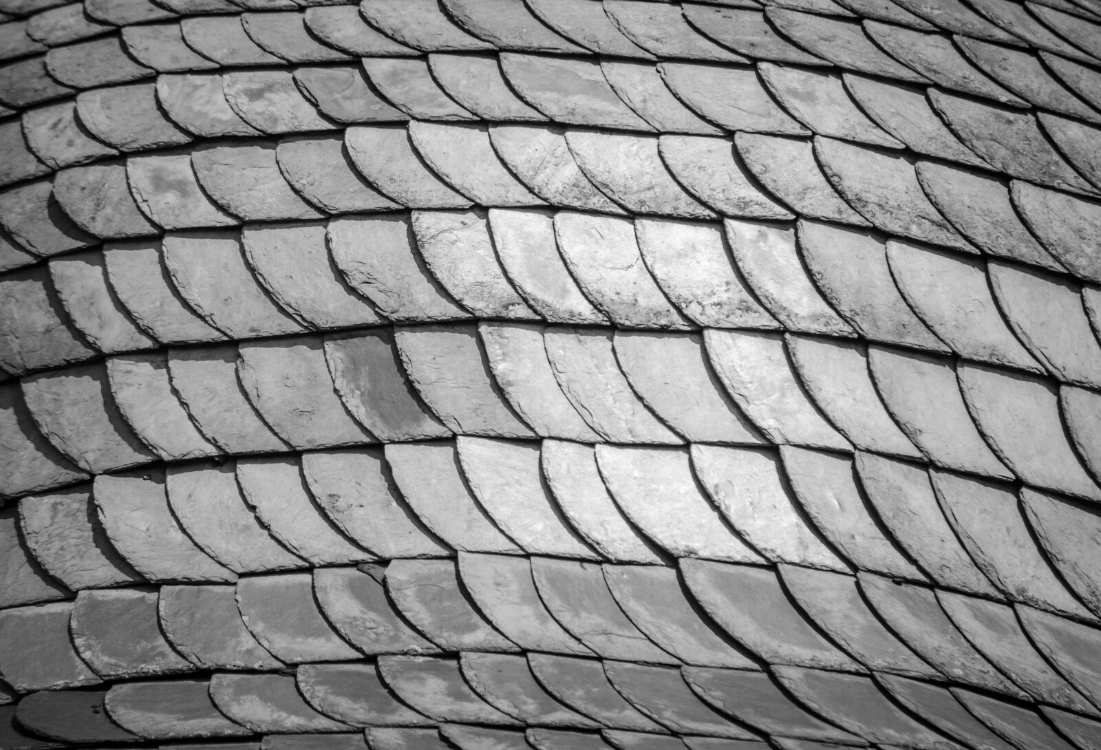 Nikon D5100 sample photo. Texture, roof, architecture photography