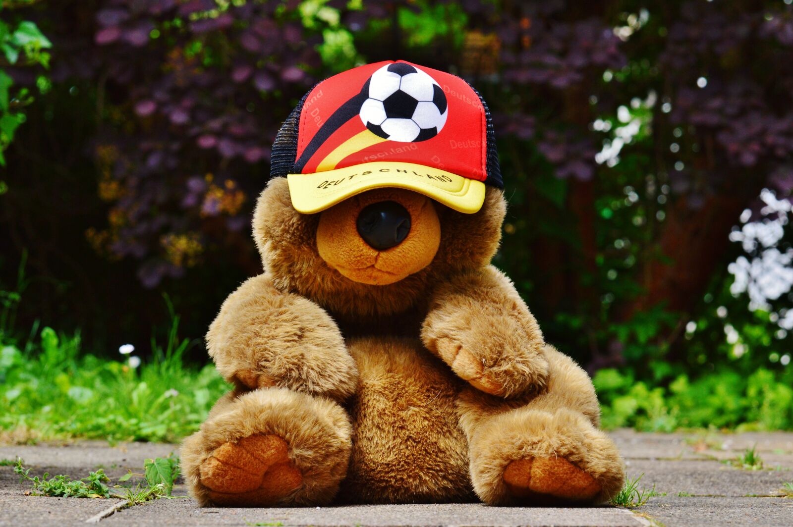 Nikon D3200 sample photo. European championship, football, 2016 photography