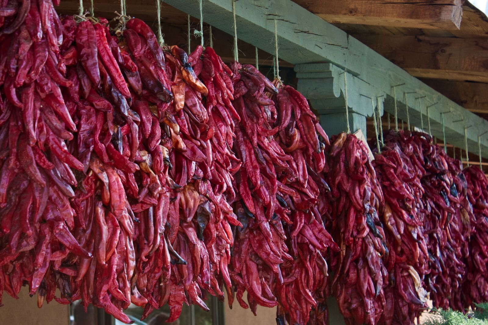 Canon EOS 500D (EOS Rebel T1i / EOS Kiss X3) sample photo. Chile pepper, new mexico photography