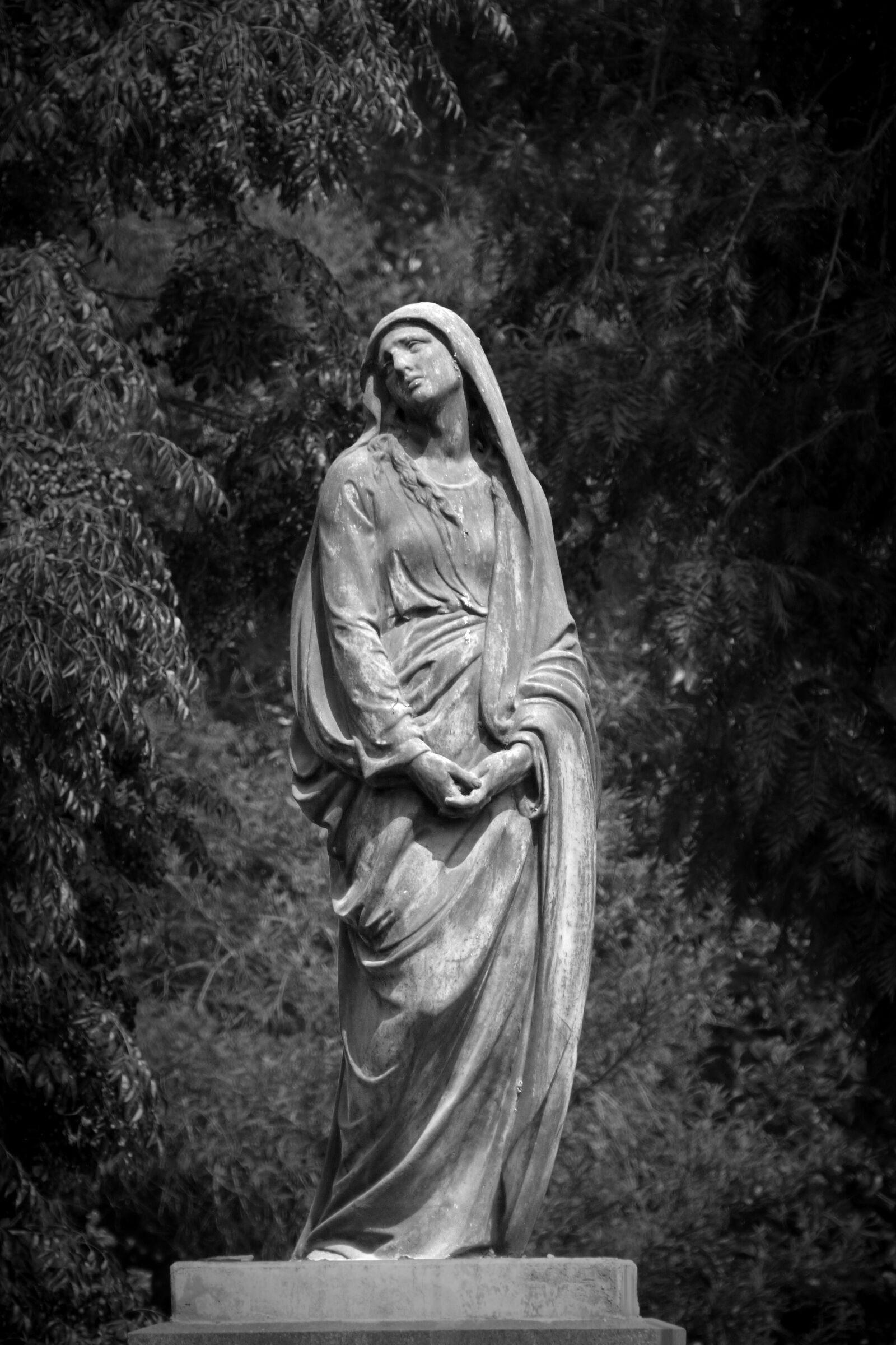 Panasonic Lumix DMC-FZ70 sample photo. Statue, tapeworm, solo photography