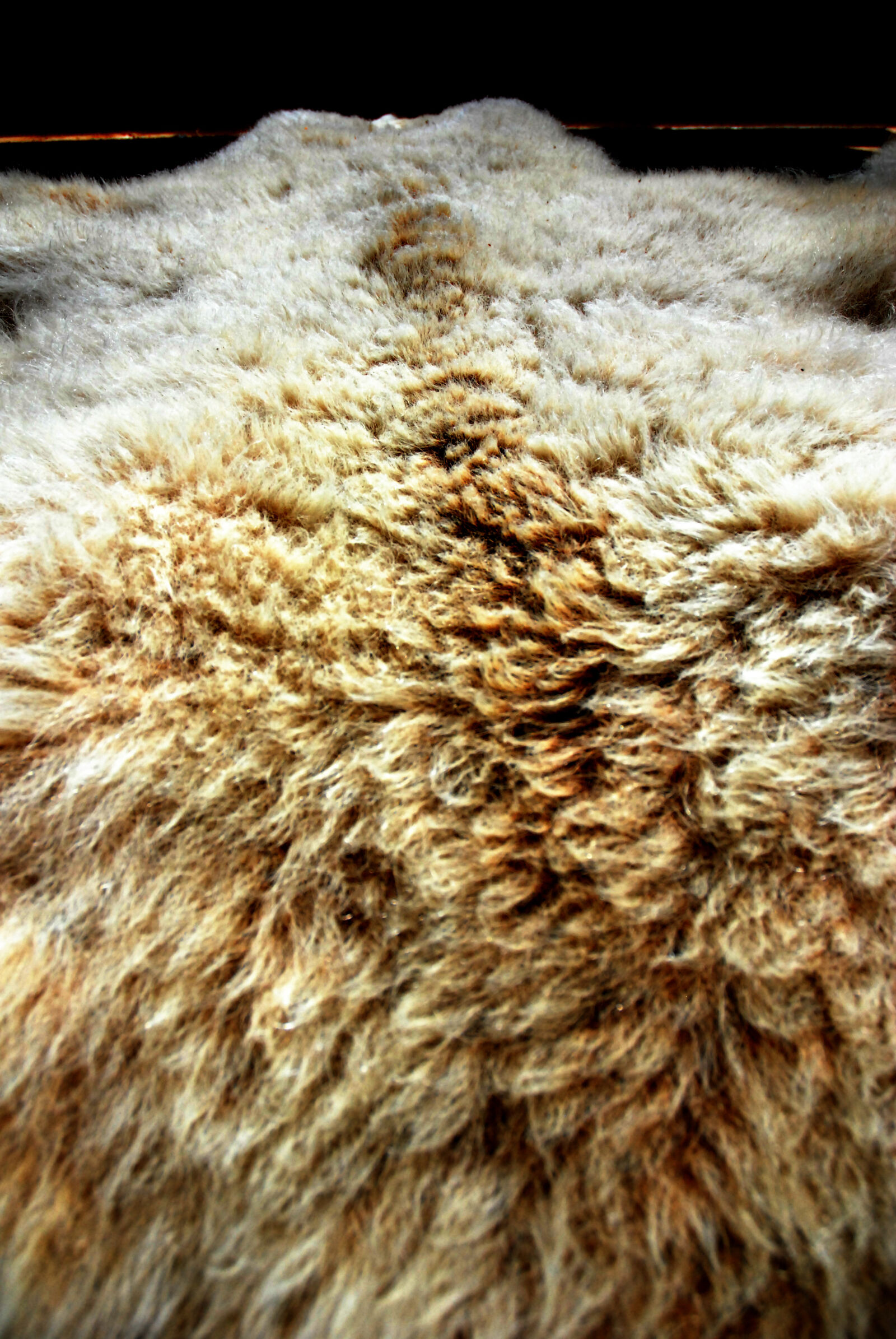 Nikon D80 sample photo