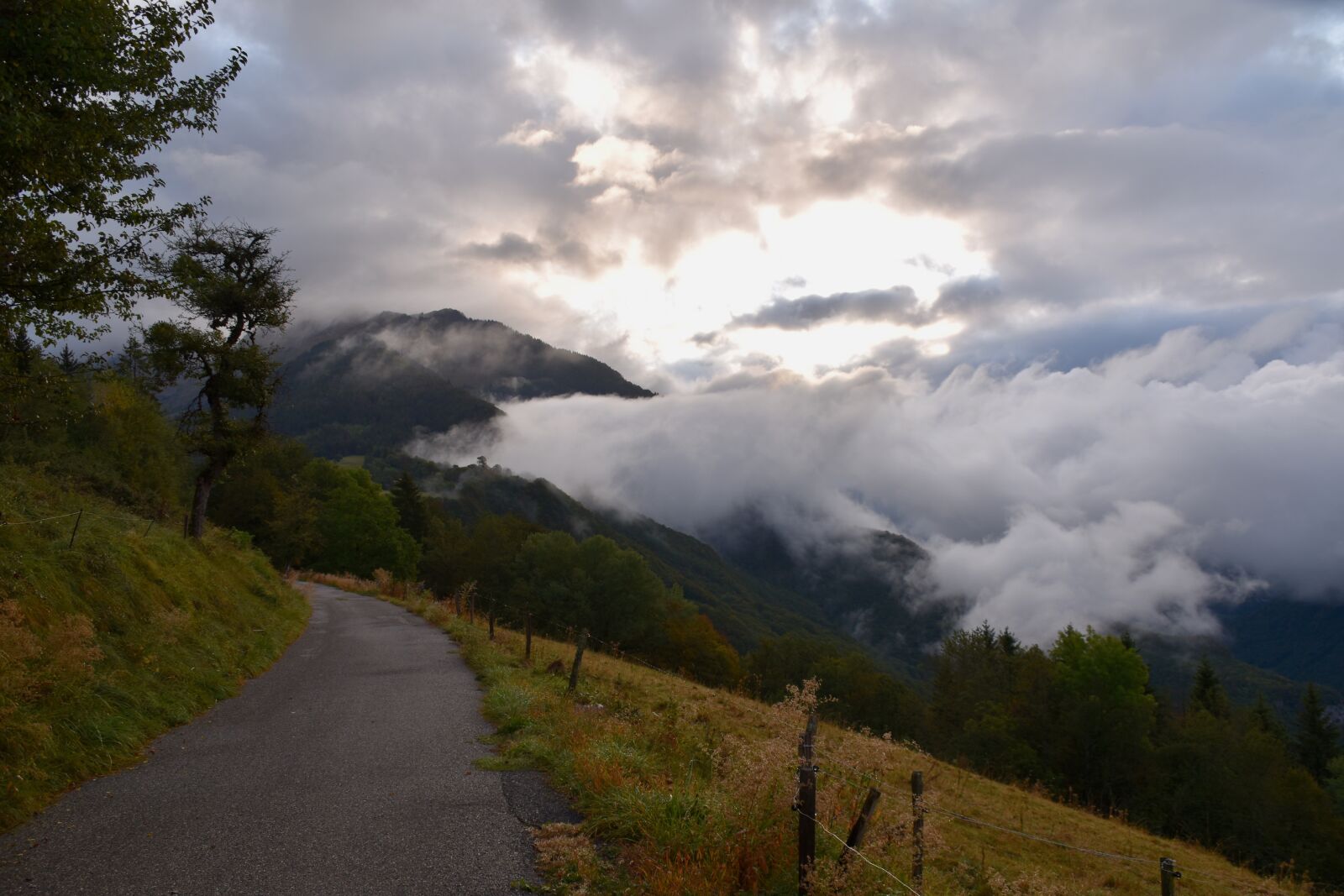 Nikon D5600 sample photo. Mountain landscape misty, mist photography