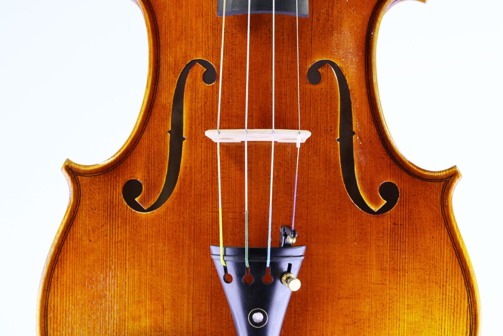 Canon EOS 800D (EOS Rebel T7i / EOS Kiss X9i) sample photo. Music, violin, instrument photography