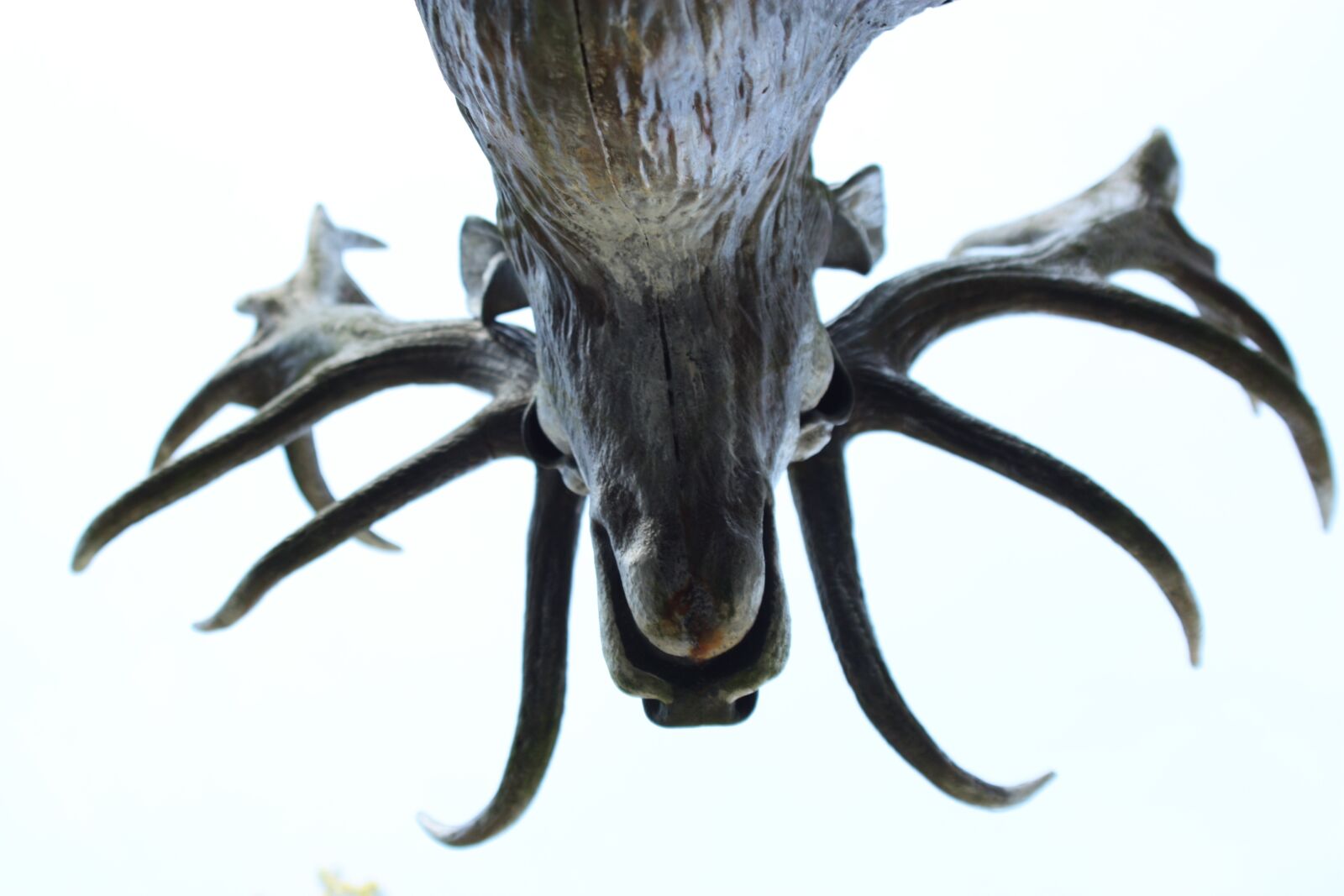 Canon EOS 450D (EOS Rebel XSi / EOS Kiss X2) sample photo. Hirsch, sculpture, antler photography