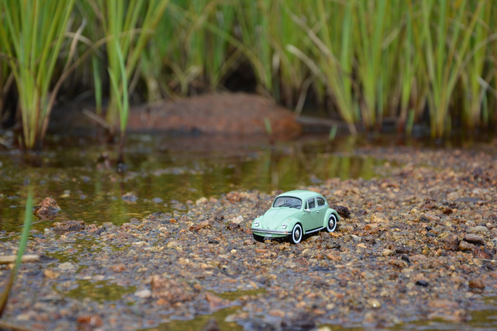 Nikon D5200 sample photo. Auto, volkswagen, vw photography