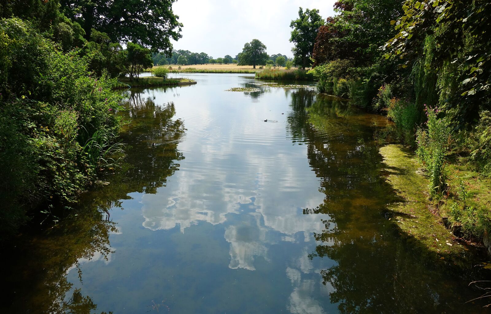 Sony DSC-RX100M5 sample photo. Water, secluded, landscape photography