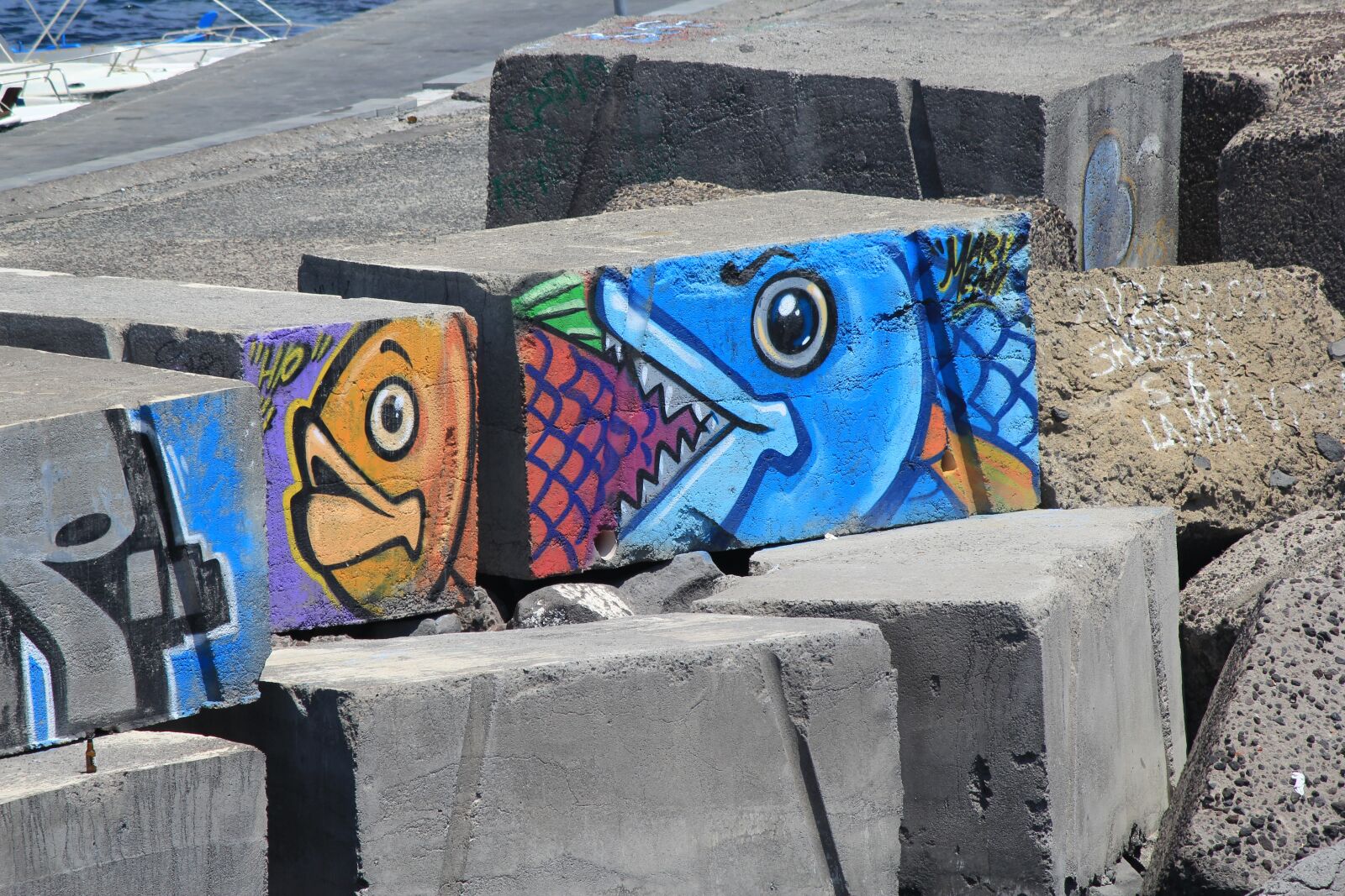 Canon EF-S 55-250mm F4-5.6 IS II sample photo. Graffiti, art, concrete blocks photography