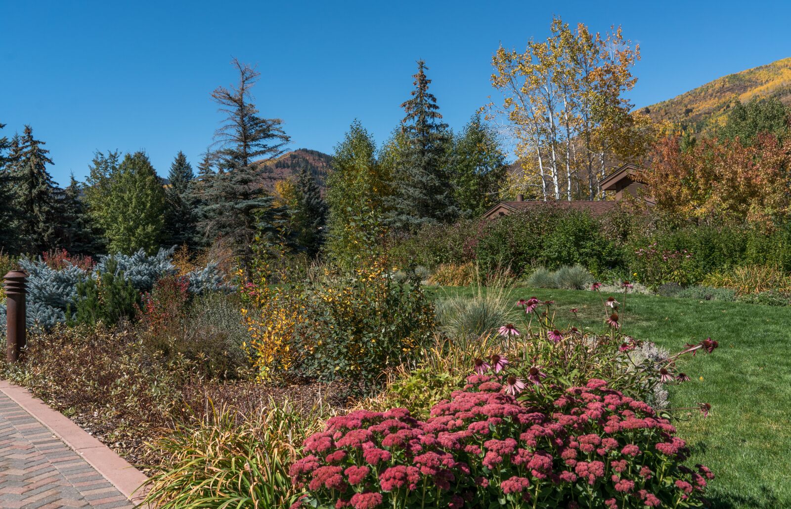 Sony a7R II + Sony FE 24-240mm F3.5-6.3 OSS sample photo. Fall, foliage, vail photography