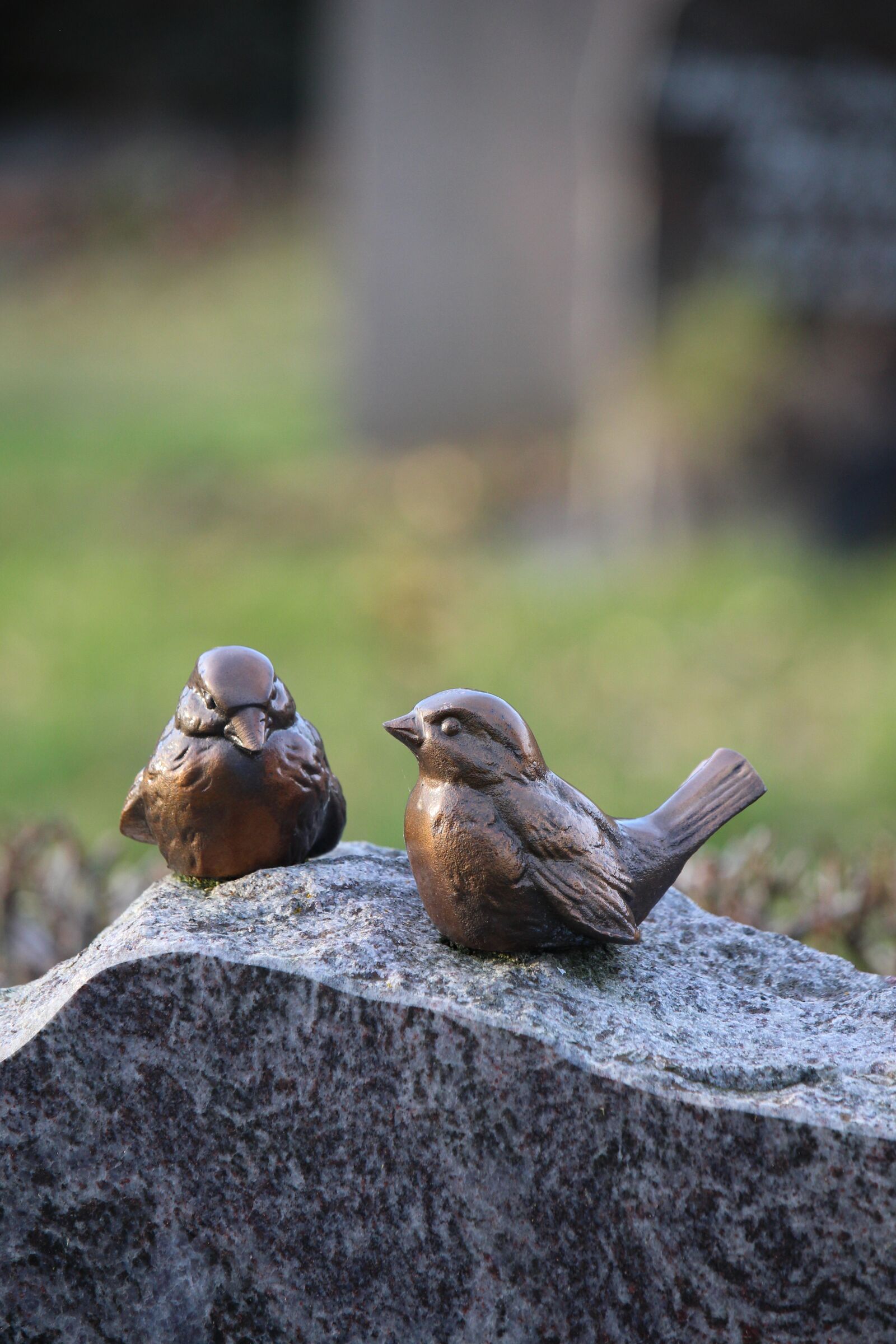 Canon EOS 100D (EOS Rebel SL1 / EOS Kiss X7) sample photo. Birds, brass, bird photography