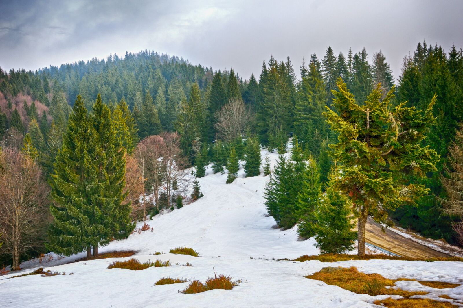 Nikon D5300 sample photo. Wood, snow, nature photography