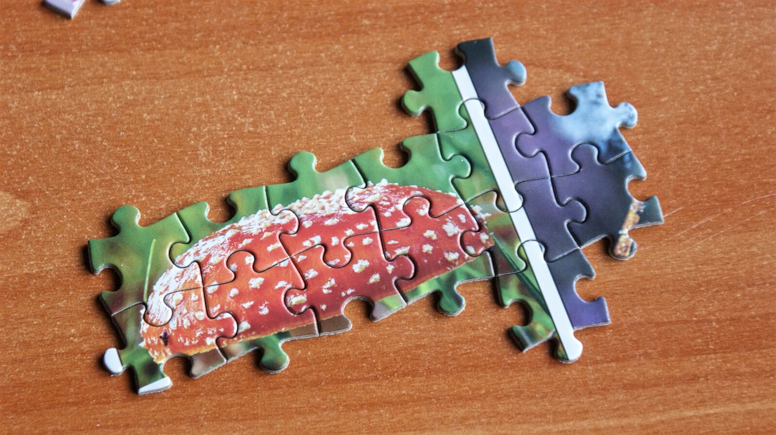 Sony Alpha DSLR-A350 sample photo. Puzzle, pieces of the photography