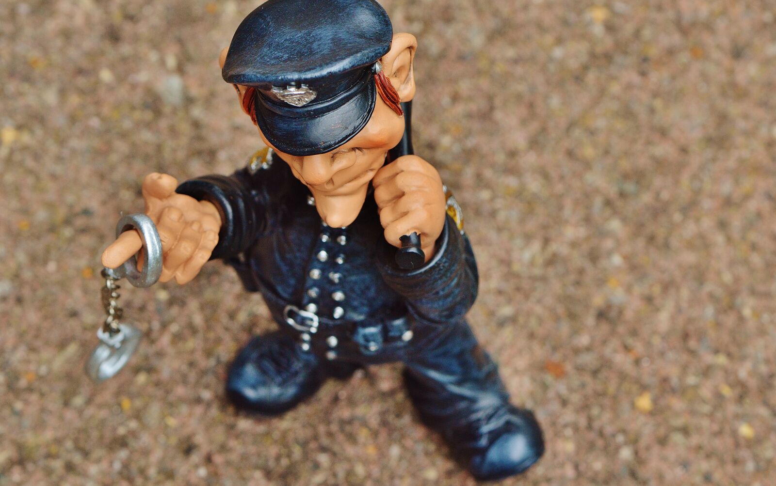 Nikon D3200 sample photo. Cop, funny, figure photography