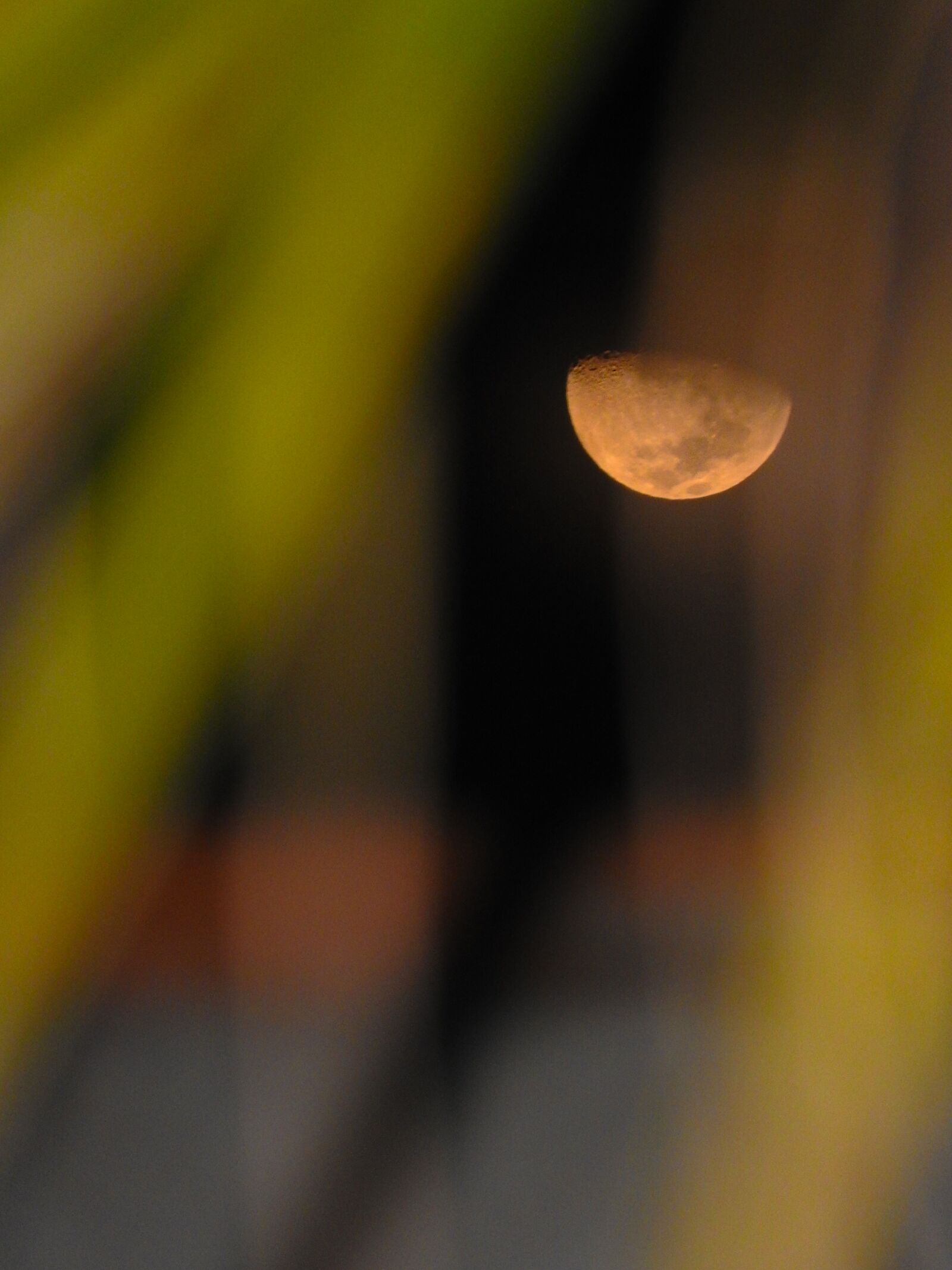 Nikon Coolpix P610 sample photo. Red, moon, night photography
