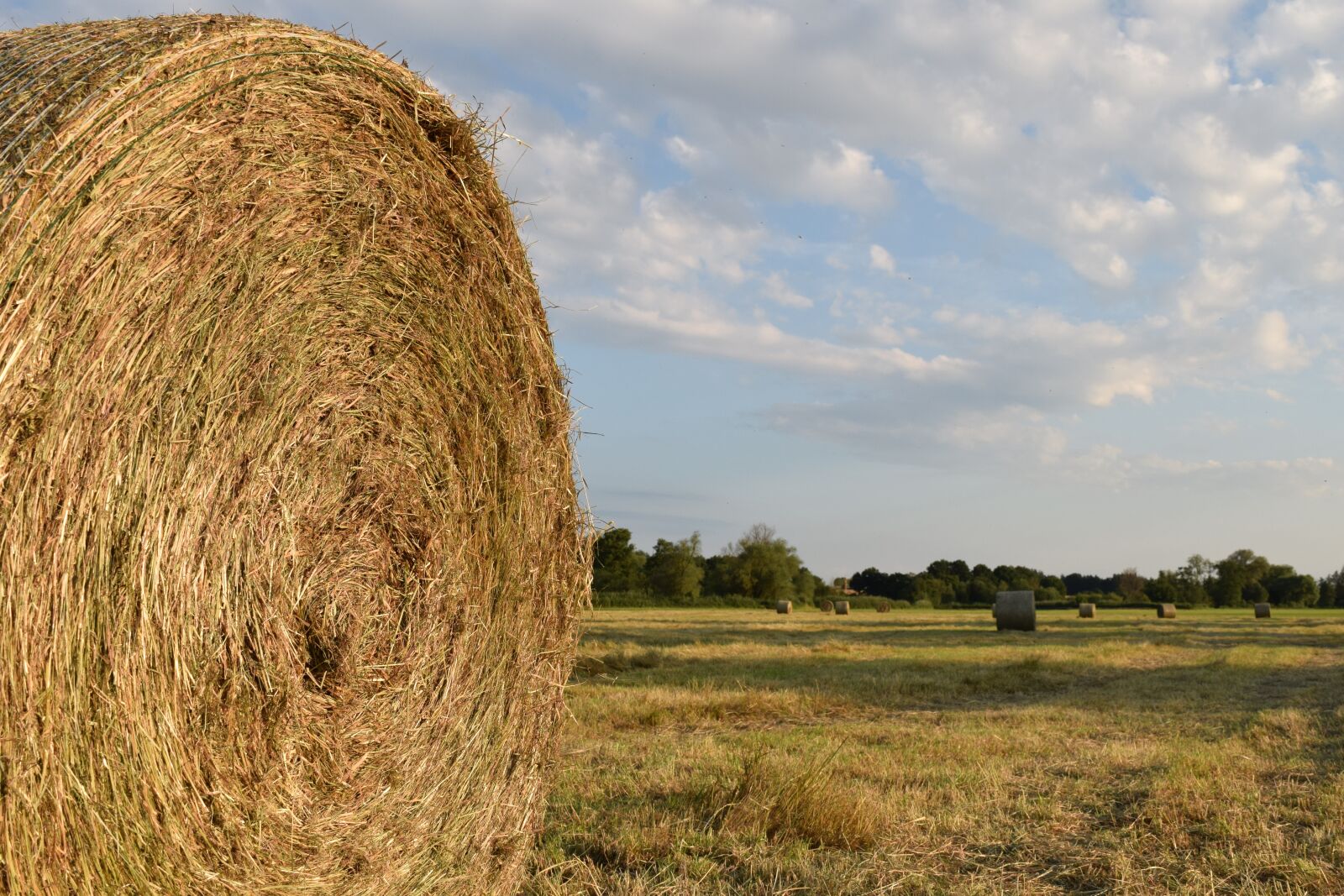 Nikon D3300 sample photo. Hay, hay bales, agriculture photography
