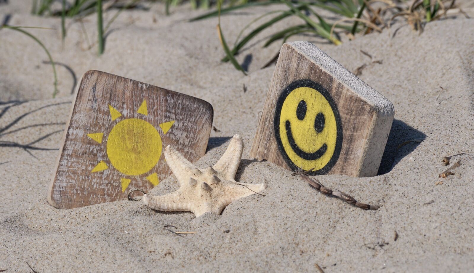 Sony DT 55-300mm F4.5-5.6 SAM sample photo. Sun, sand, beach photography