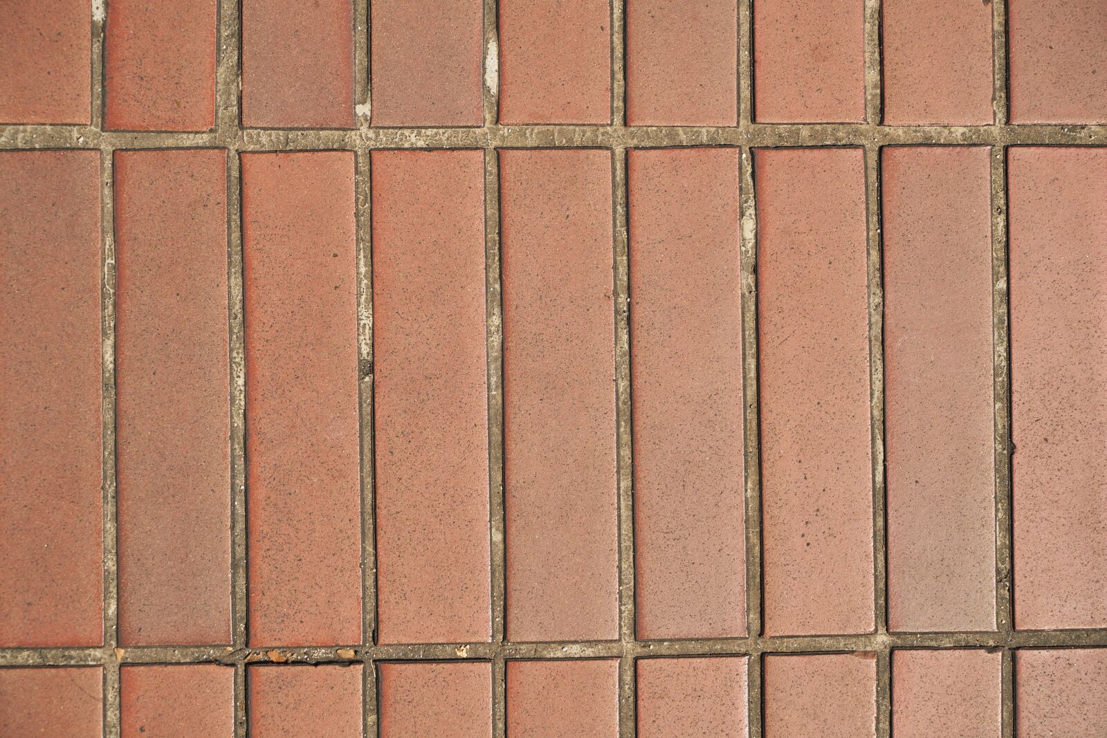 Sony a7R II sample photo. Ground, texture, brown photography