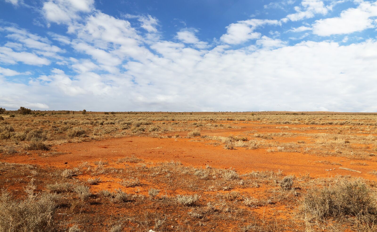 Canon EOS 6D + Canon EF 24-105mm F4L IS USM sample photo. Australia, desert, red photography
