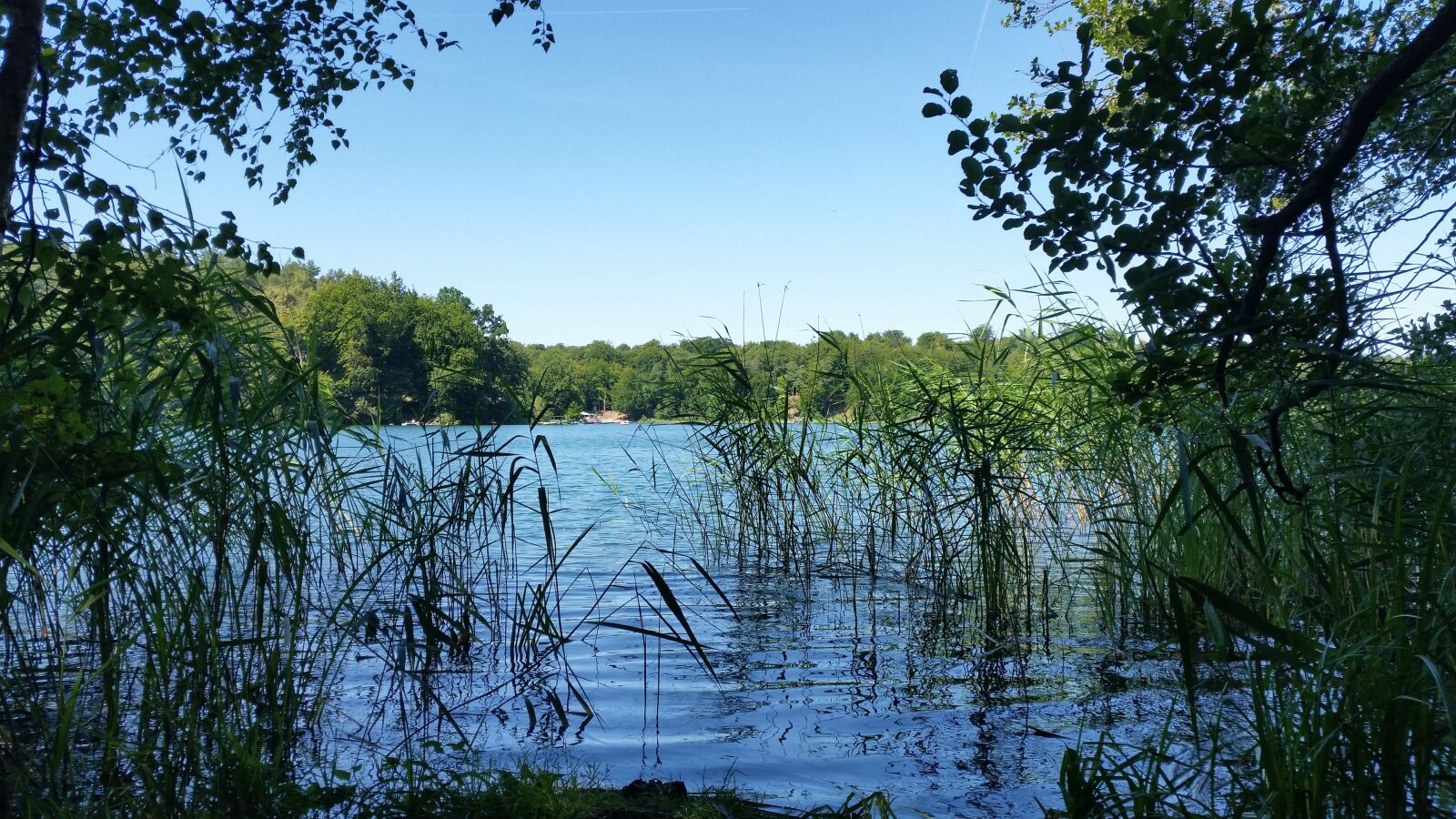 Samsung Galaxy S5 sample photo. Lake, bank, forest photography