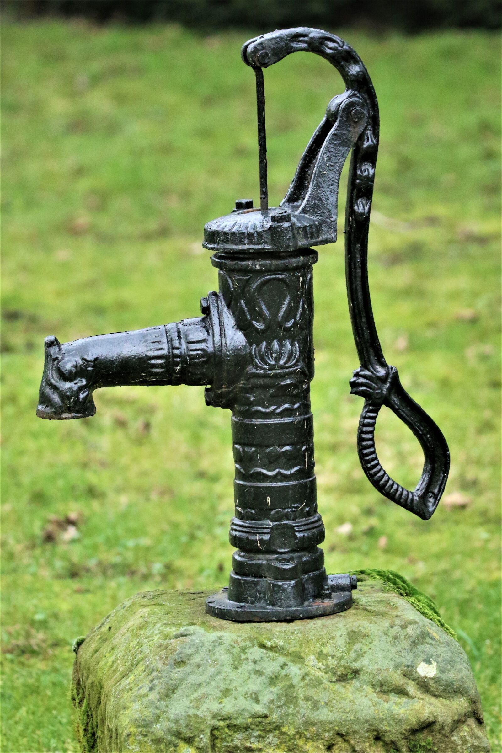 Canon EOS 7D Mark II + 150-600mm F5-6.3 DG OS HSM | Contemporary 015 sample photo. Pump, water pump, metal photography