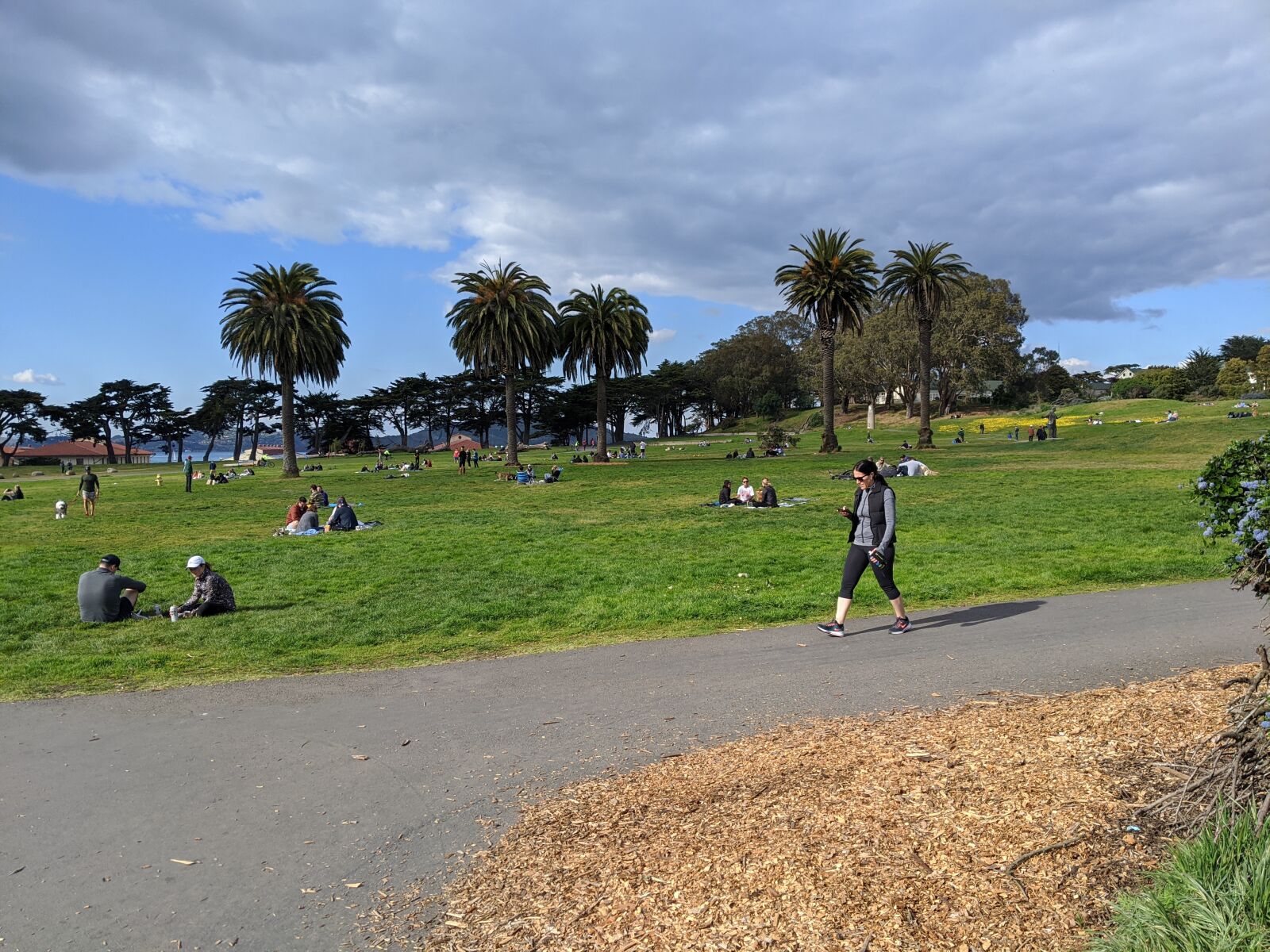 Google Pixel 3 XL sample photo. Park, walkway, people photography