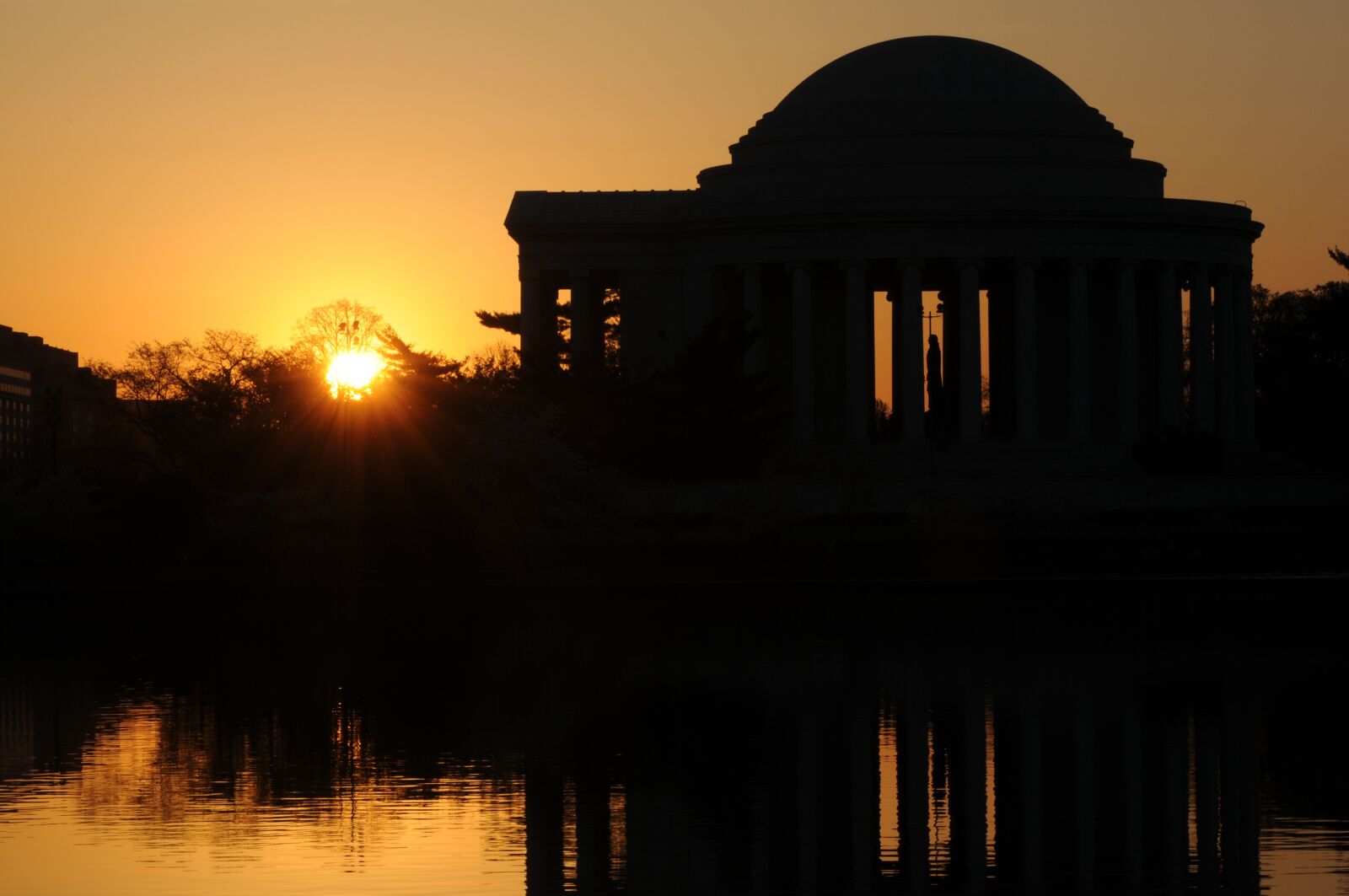 Nikon D300 sample photo. Cherry blossoms, jefferson memorial photography