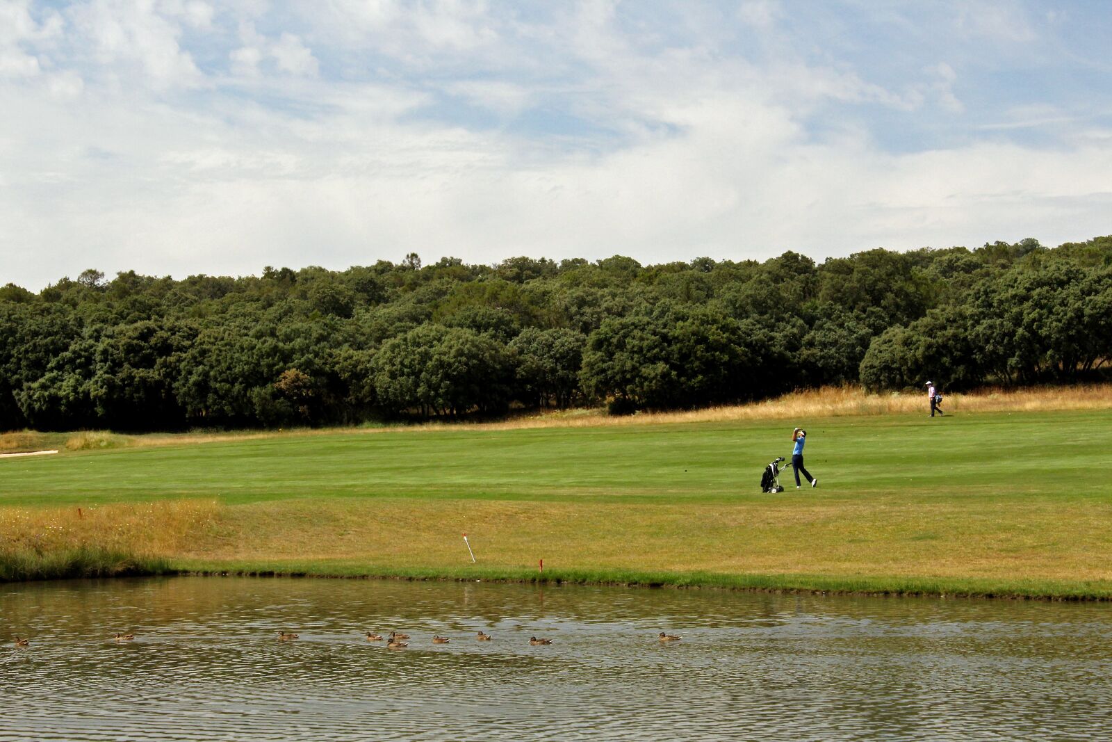 Canon EOS 700D (EOS Rebel T5i / EOS Kiss X7i) sample photo. Golf, sticks, golf course photography
