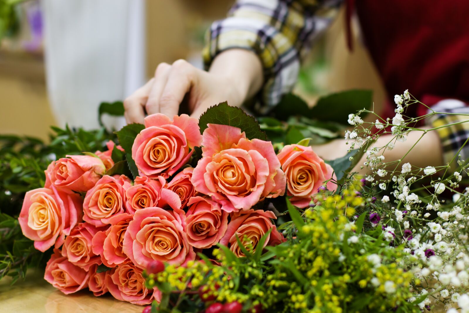 Canon EOS 70D + Canon EF 50mm F1.4 USM sample photo. Purchase, sale, shop photography