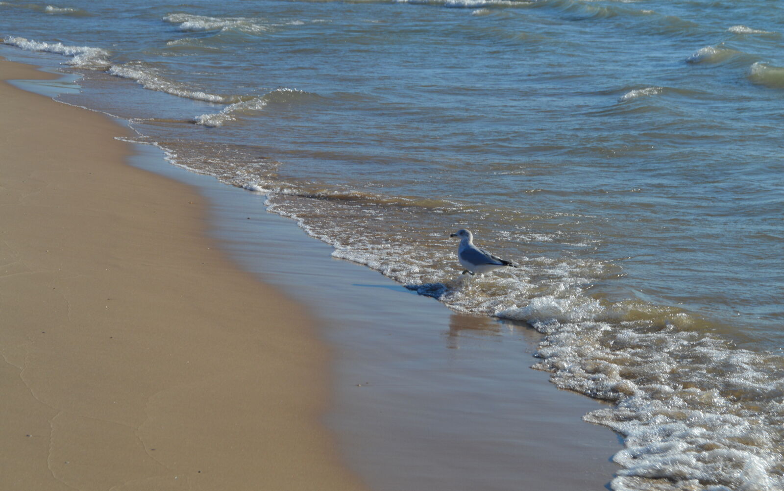 Nikon D3200 sample photo
