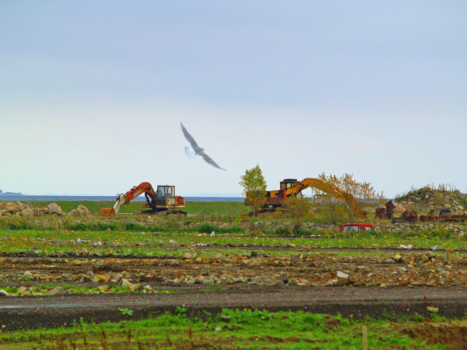 Olympus E-500 (EVOLT E-500) sample photo. Excavator, nature photography