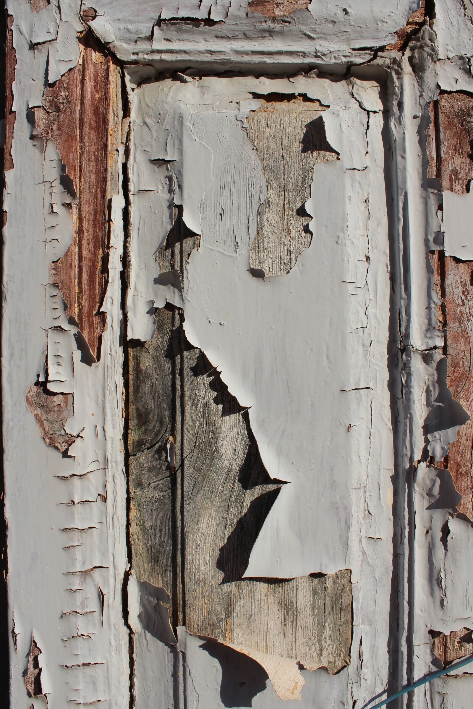 Canon EOS 600D (Rebel EOS T3i / EOS Kiss X5) sample photo. Old, wood, dirty photography