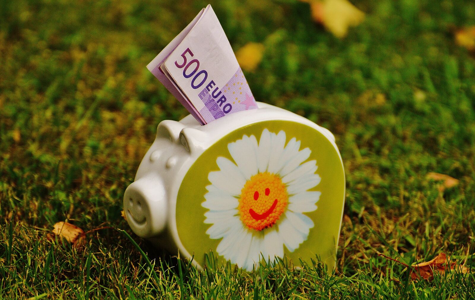 Nikon D3200 sample photo. Piggy bank, money, dollar photography