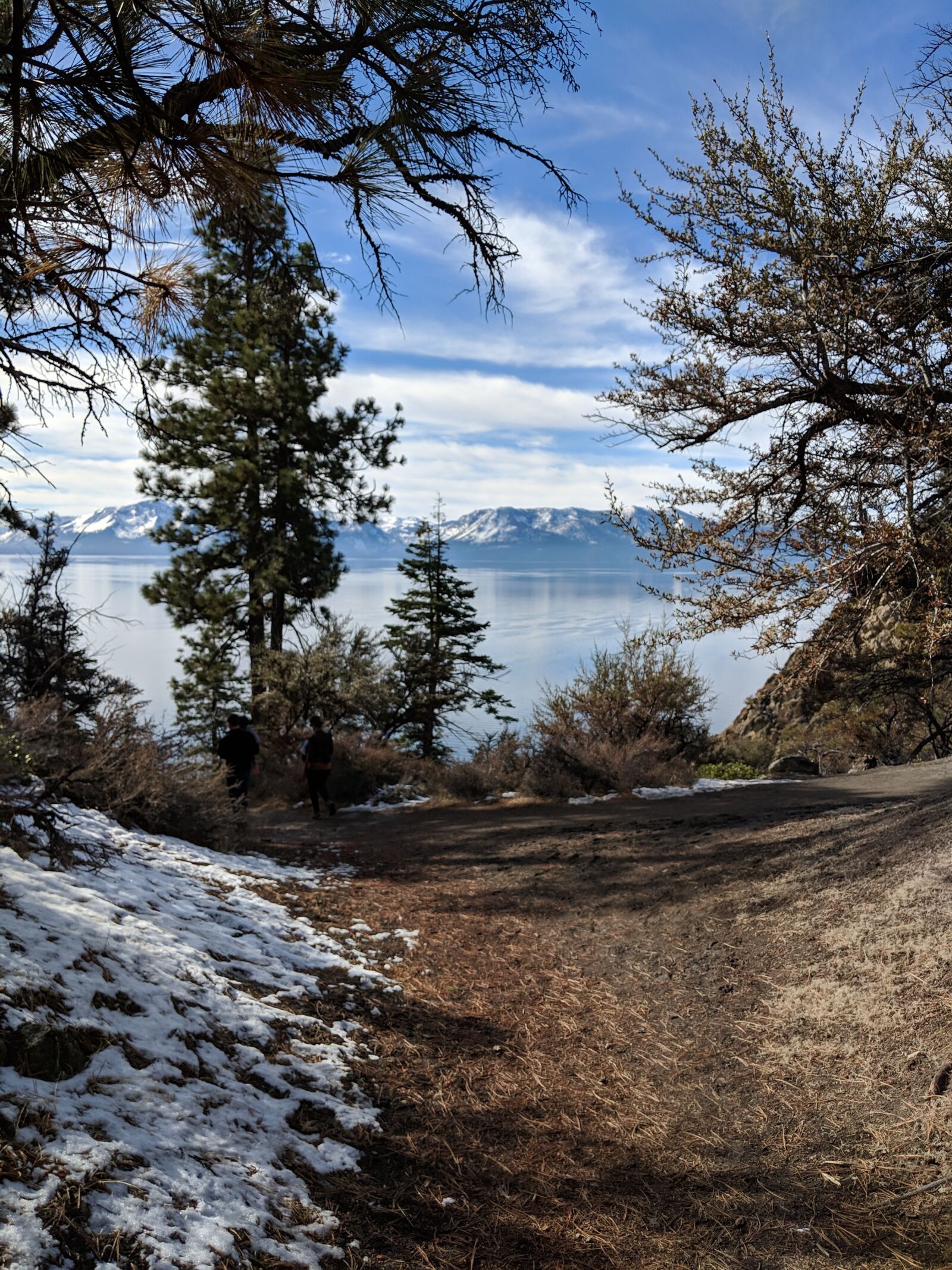 Google Pixel 2 XL sample photo. Tree, snow, sky photography