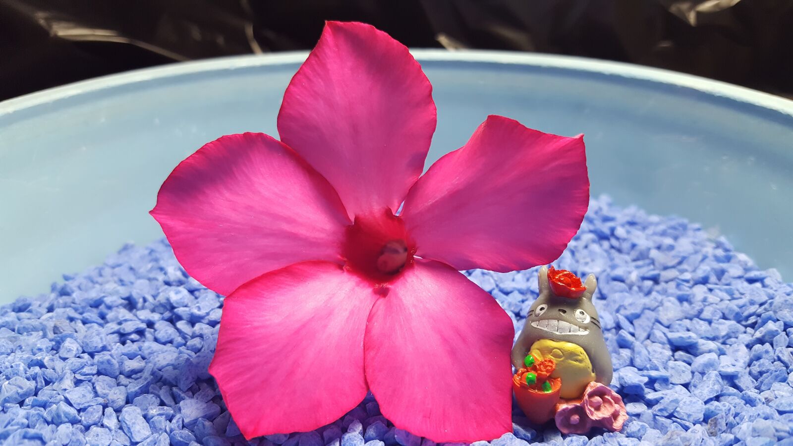 Samsung Galaxy S6 sample photo. Doll, flowers, nature photography