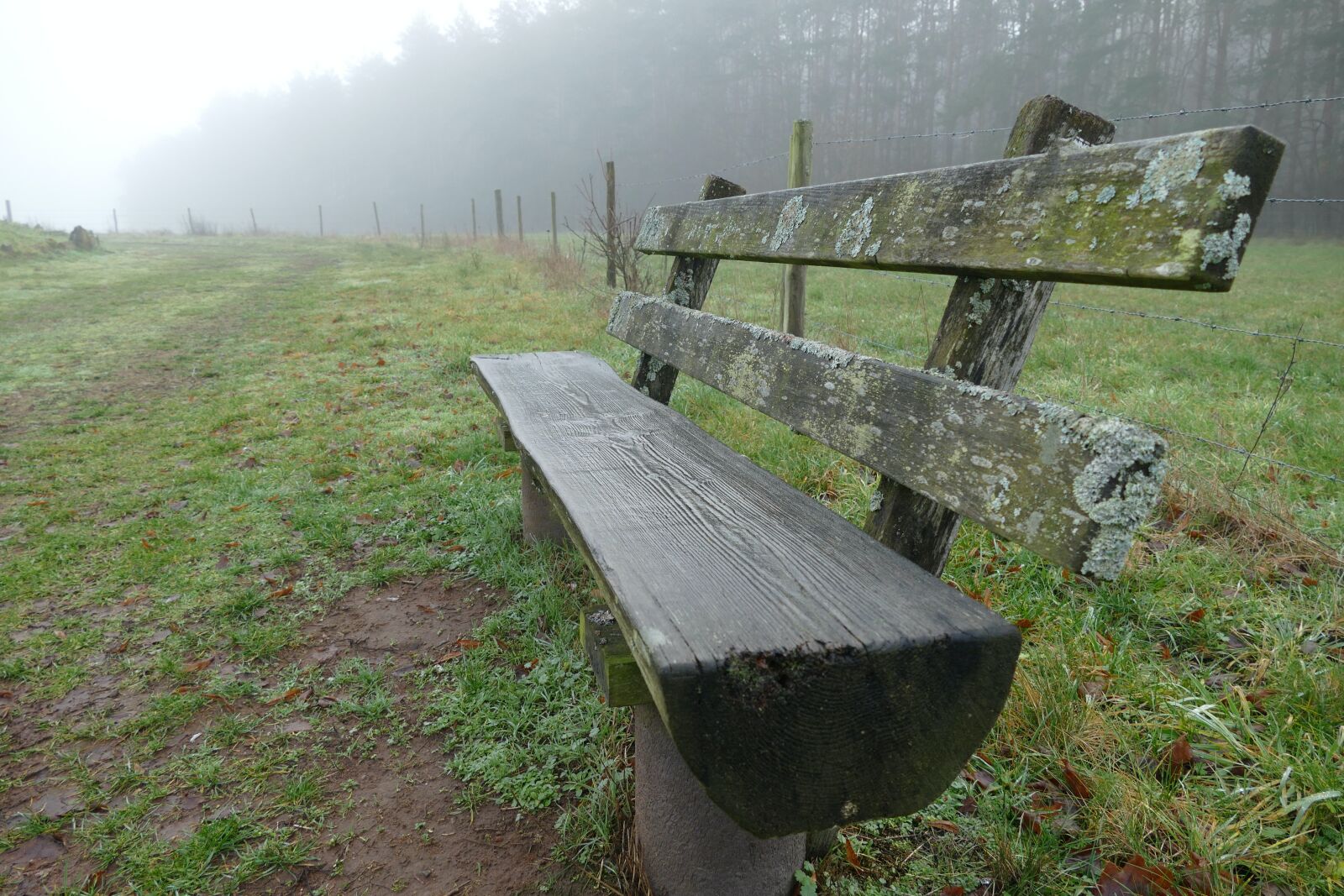 Panasonic Lumix DMC-FZ1000 sample photo. Lonely, abandoned, inner silence photography